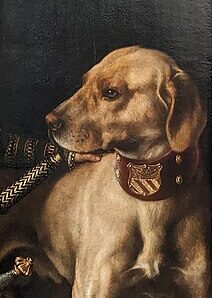 『グランヴェル枢機卿の道化師』（ Portrait du nain du cardinal de Granvelle tenant un chien ）　1500年 - 1600年　アントニス・モル　ルーヴル美術館蔵