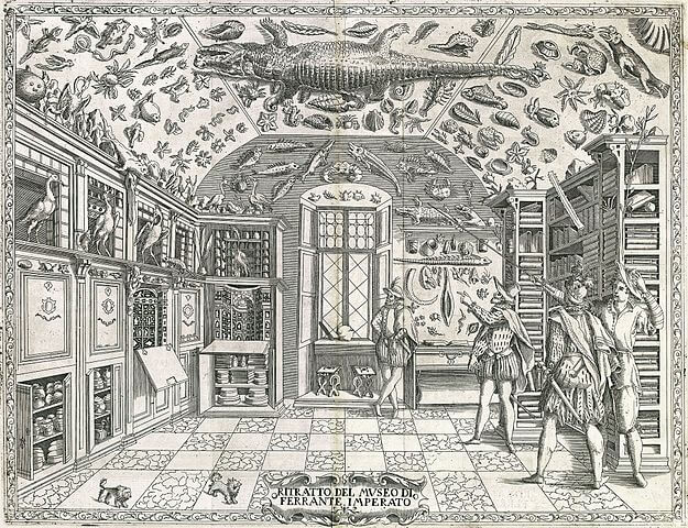 17世紀初めナポリのフェッランテ・インペラートの「驚異の部屋」
