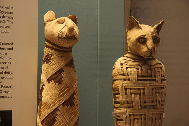 猫のミイラ　大英博物館蔵