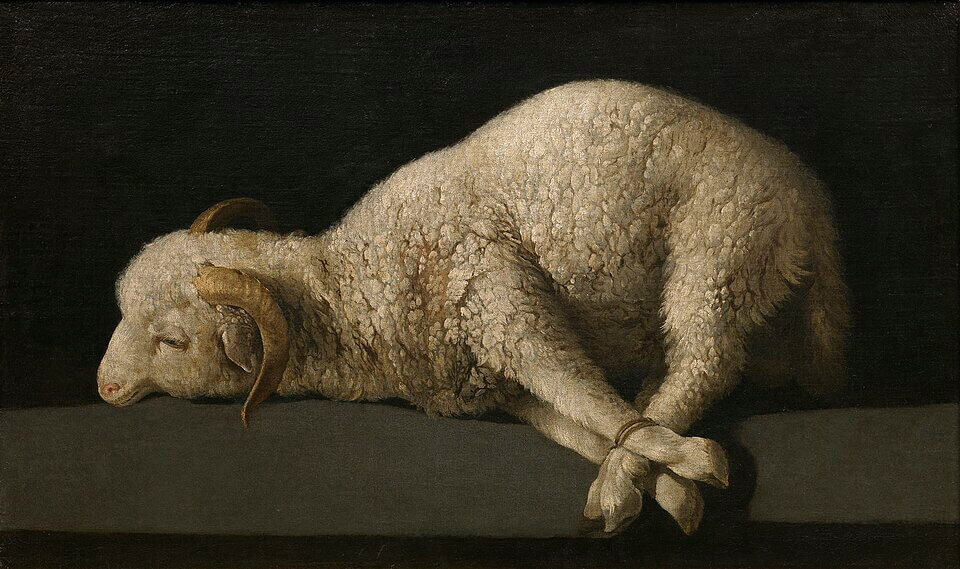 Borreguillo, Francisco de Zurbarán, 1635 - 1640. Óleo sobre lienzo, 37,3 x 62 cm, Número de catálogo P007293, Museo Nacional del Prado, 《神の仔羊》 1635 - 1640年 フランシスコ・デ・スルバラン プラド美術館蔵