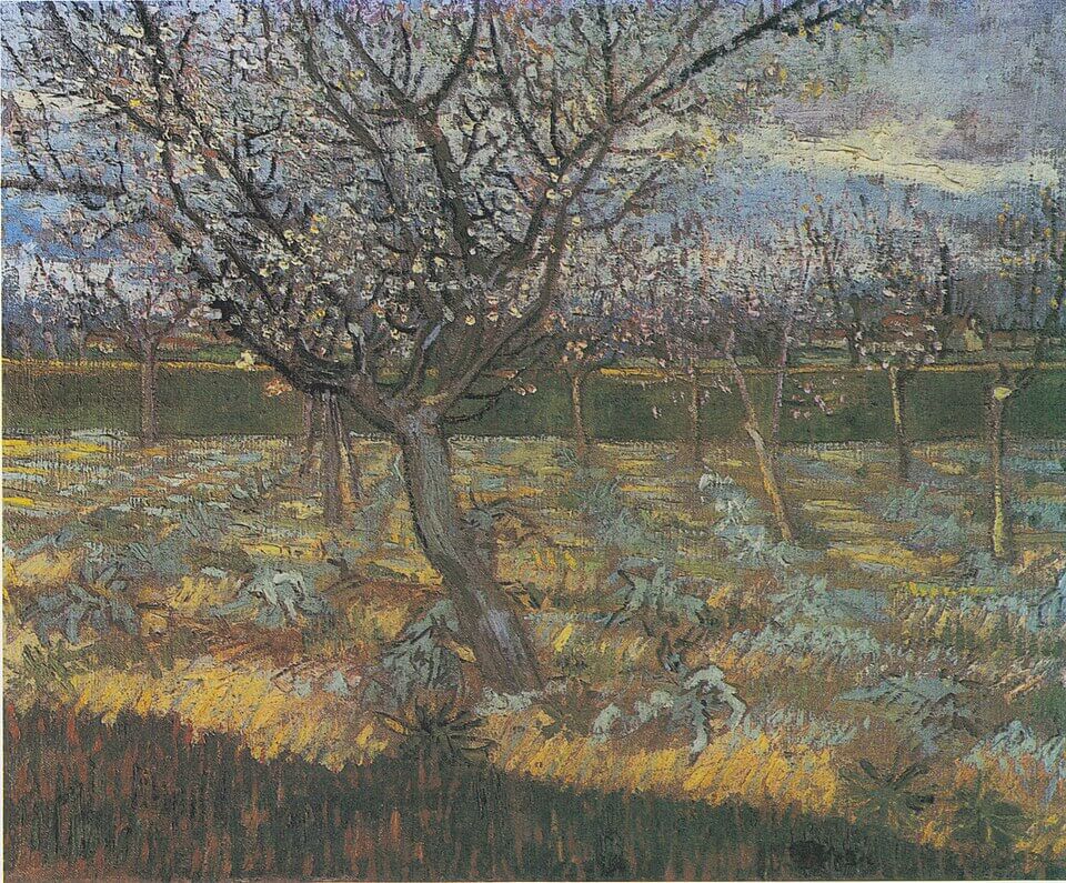 Apricot Trees in Blossom, Vincent van Gogh, 1888, Oil on canvas, 54.5 x 65.5 cm, Private Collection, 《花咲く杏の木》　1888年　フィンセント・ファン・ゴッホ　個人蔵