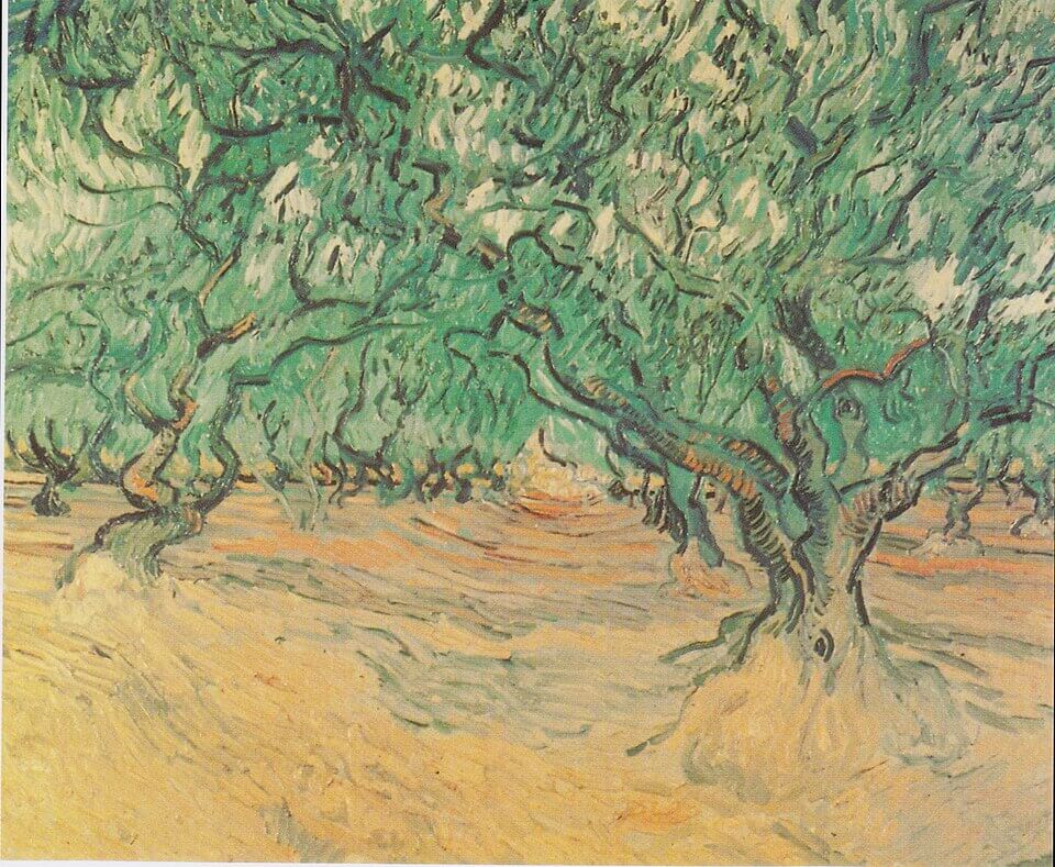 Olive-trees, Vincent van Gogh, 1889, Oil on canvas, 53.5 x 64.5 cm, Private Collection, 《オリーヴ園》　1889年　フィンセント・ファン・ゴッホ　個人蔵
